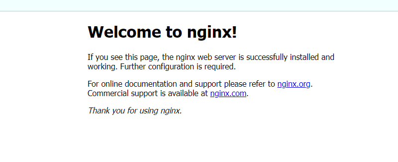 nginx_index